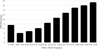 Assessment of genetic diversity and population structure of U.S. Polypay sheep from breed origins to future genomic selection